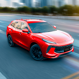 600x600px-Galeria-T5EVO_0002_Capa-2 4